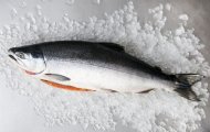Sự Khác Nhau Giữa Cá Hồi Nuôi Và Cá Hồi Tự Nhiên