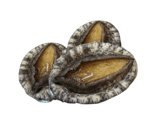 Bào Ngư Hàn Quốc