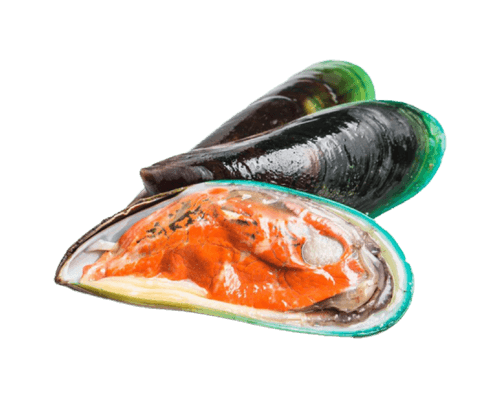 Vẹm Xanh New Zealand - Hương vị tươi ngon từ biển xanh