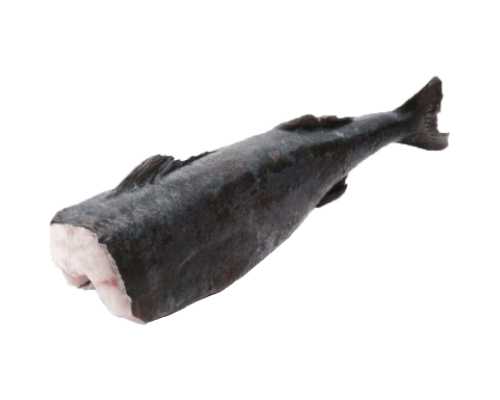 Cá Tuyết Alaska không đầu